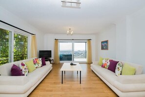 تلفزيون، مشغل دي في دي