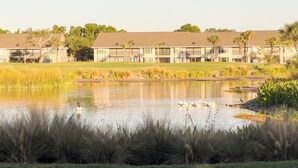 A hotel with a pool, surrounded by grass and trees. - Welcome to Your Luxurious Golf Getaway! (Fort Myers)