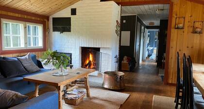 Large, cozy family cabin at Norway Norefjell ski area