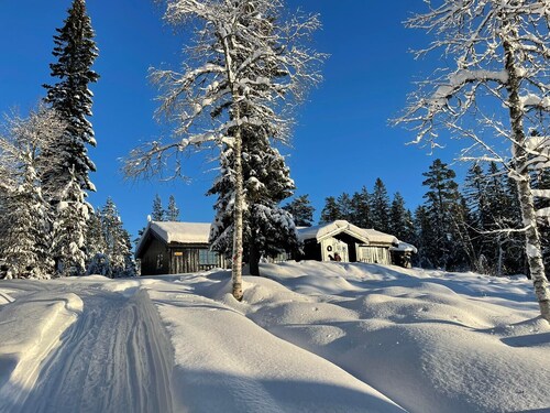 Large, cozy family cabin at Norway Norefjell ski area 
