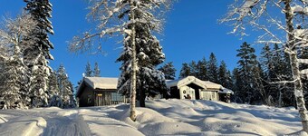 Large, cozy family cabin at Norway Norefjell ski area 