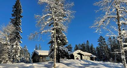 Large, cozy family cabin at Norway Norefjell ski area