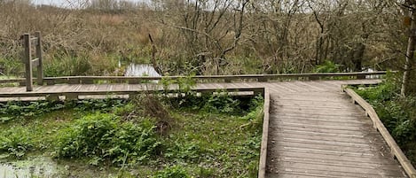 Terrain de lâhĂ©bergement