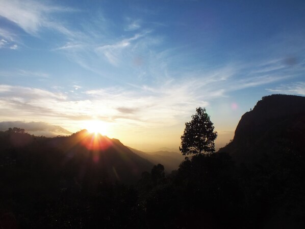 Un paysage de montagne avec la silhouette d’un arbre bien visible et un ciel dégagé.