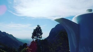 A teapot with a mountain view in the background. - Monarch Ella (Ella)