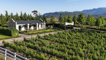 Luxury Villa, Vineyard View | Vineyard view