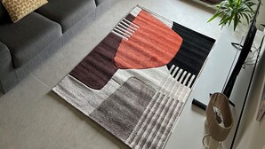 Un salon moderne avec un canapé gris, des coussins à motifs, un grand tapis et une plante en pot.