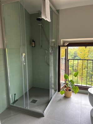 Shower, hair dryer, bidet, towels