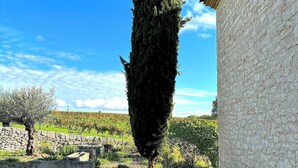 Un edificio de piedra con un árbol alto y delgado en primer plano. Hay dos sillones con estructura metálica y cojines oscuros.