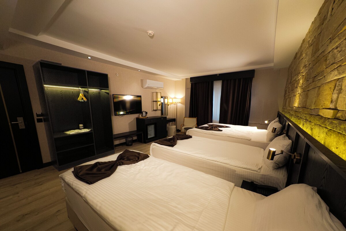 Habitación de hotel con dos camas, televisión, escritorio y armario.