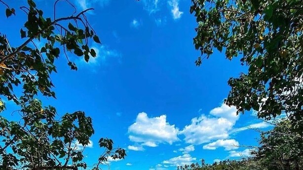 A beach with clear turquoise water, sandy shore, and dense tropical foliage. - First Floor Unit with big patio. Countryside steps away from beautiful beaches. (Cabo Rojo)
