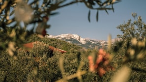 A mountainous landscape with a building featuring a red roof, surrounded by dense greenery.