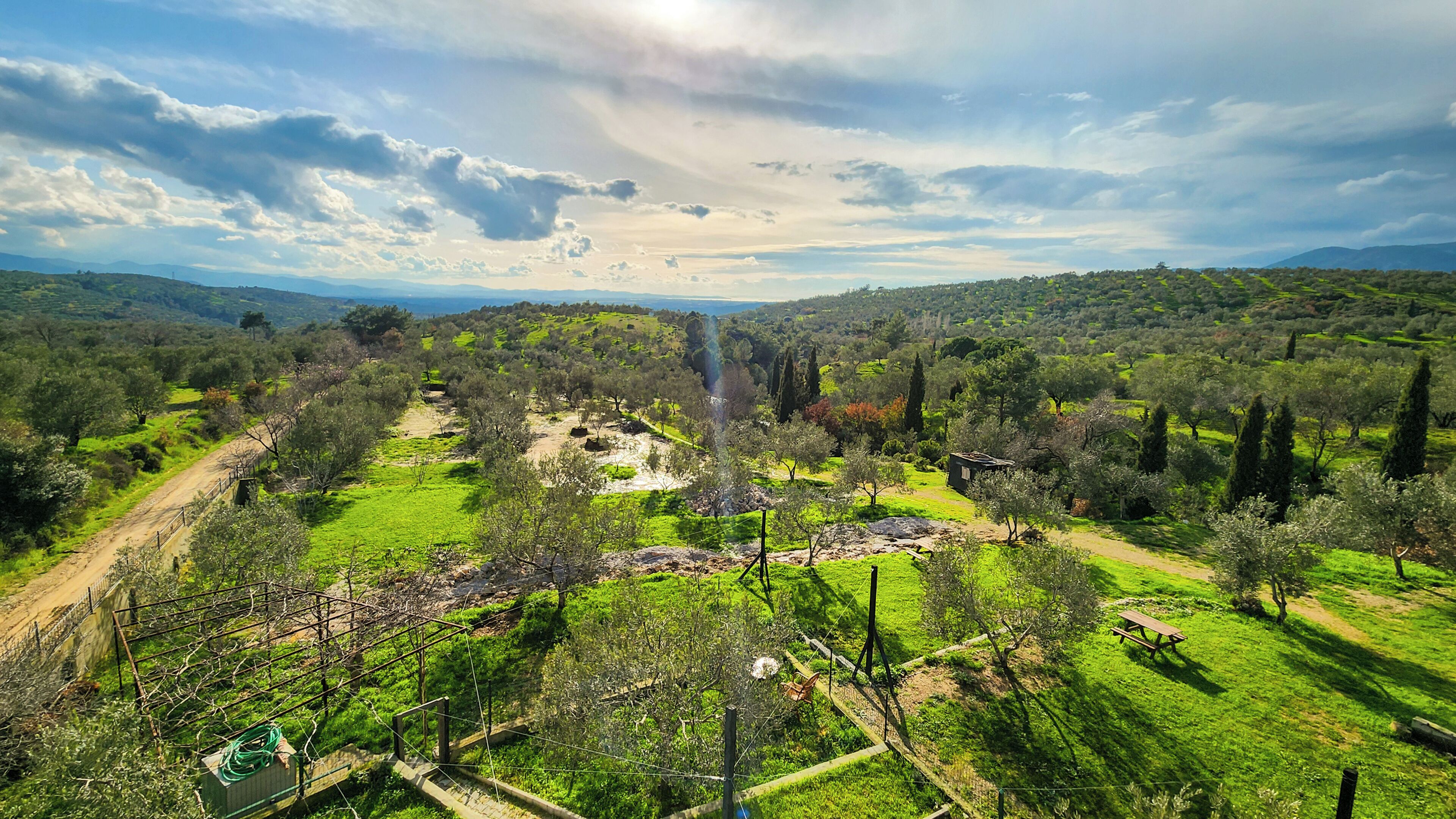 Ländliche Landschaft mit Feldwegen, grünen Feldern und vereinzelten Bäumen.