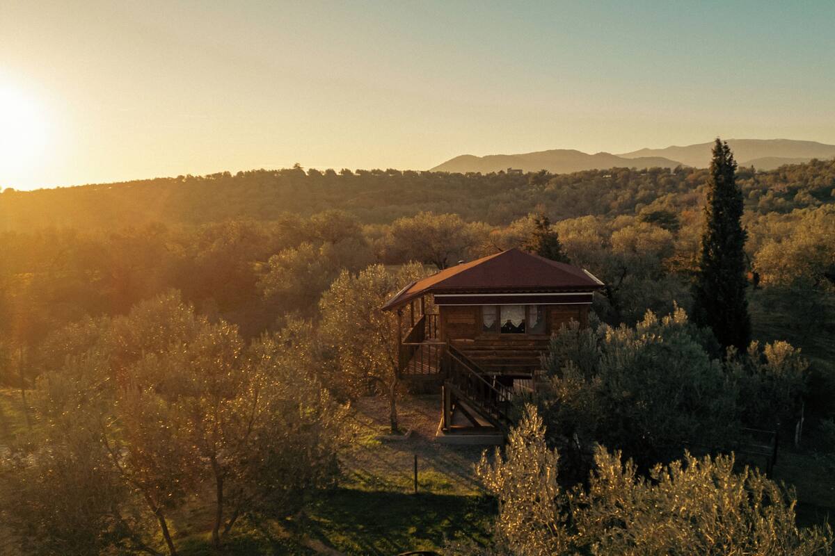 A wooden cabin with a red roof surrounded by dense shrubbery and trees, set against a backdrop of hills.
