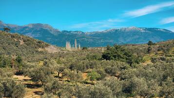 A mountainous landscape with dense shrubbery and a clear sky.