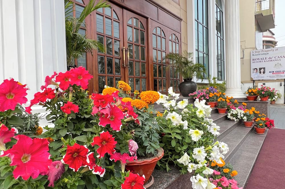 Hotel Royale de CASA