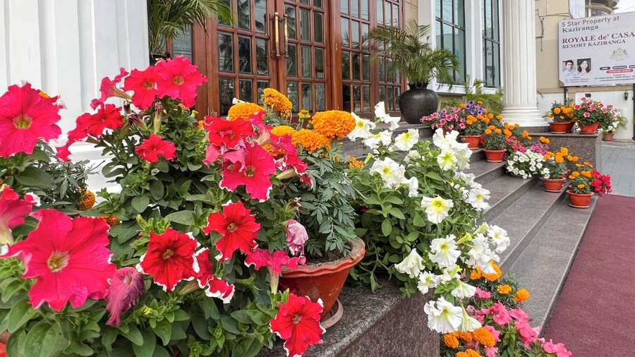 Hotel Royale de CASA