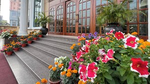A building with large windows and steps adorned with colorful flowers. - Hotel Royale de CASA (Guwahati)