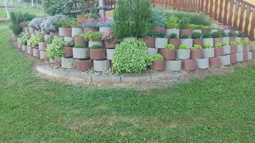 Casa (One Bedroom Holiday Home with Terrace) | Jardín