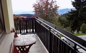 Appartement (One Bedroom Apartment) | Balkon