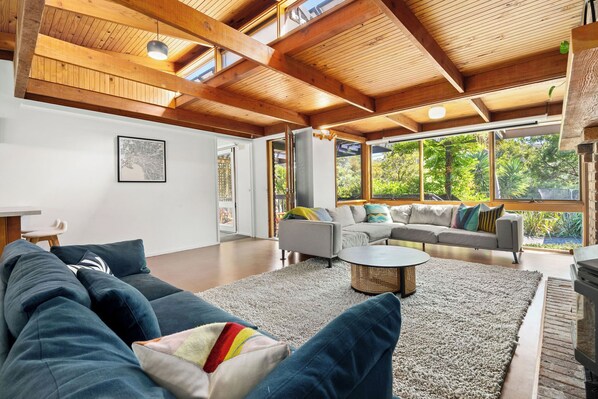 TV connectée, cheminée, livres