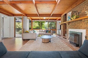 TV connectée, cheminée, livres