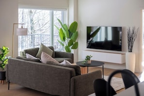 Télévision, chaîne hi-fi