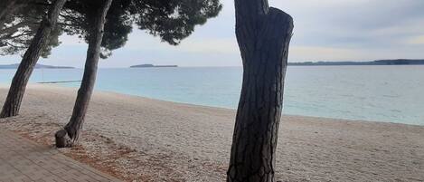 Appartement (One Bedroom Apartment with Balcony an) | Plage