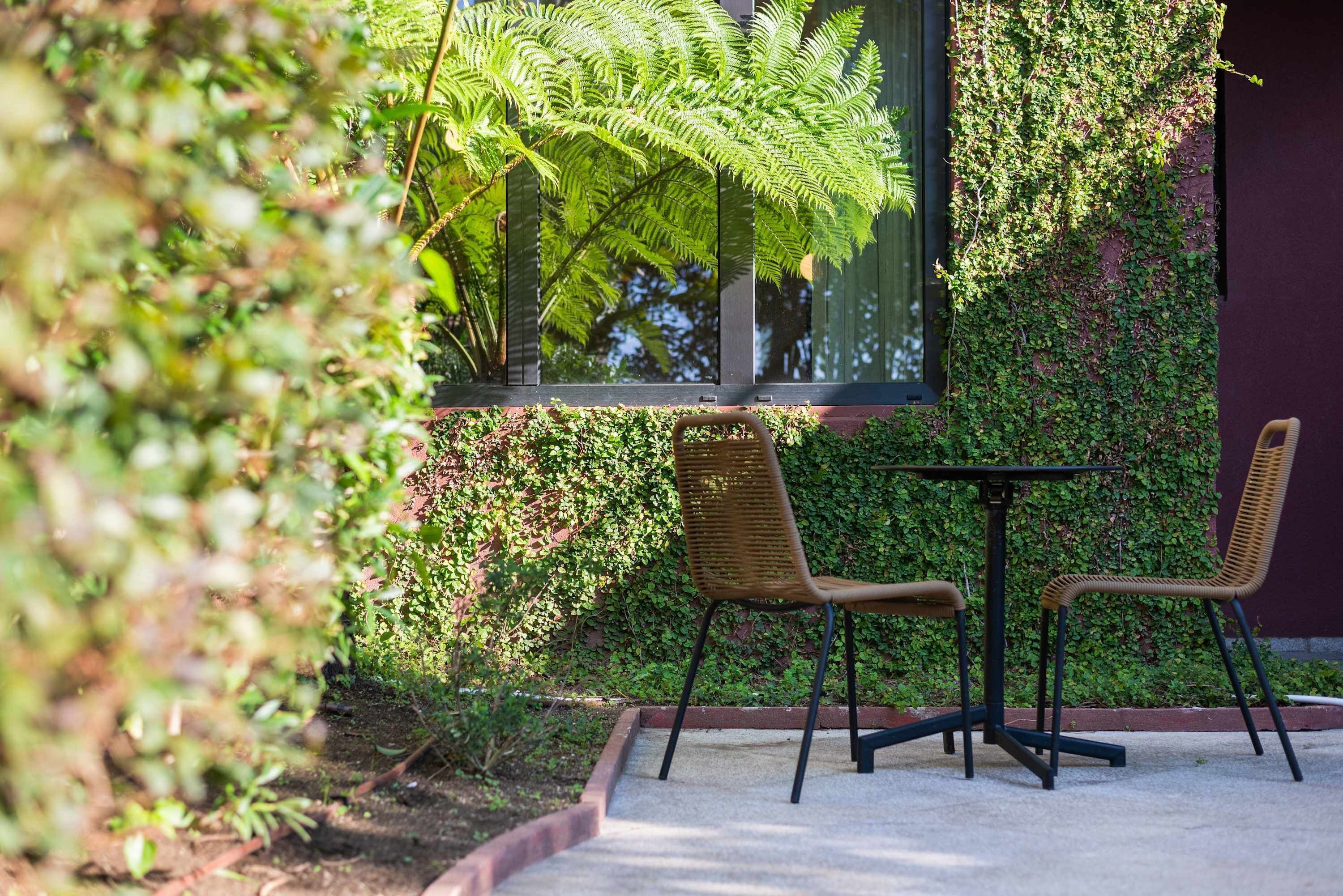Un espacio al aire libre con dos sillas de mimbre y una mesa, rodeado de abundante vegetación y una ventana con vistas al cielo.