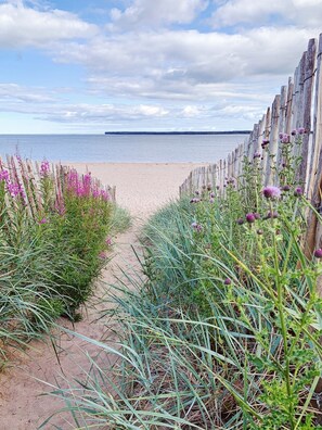 A sandy beach path leading to the sea, bordered by wooden fences and various plants.
