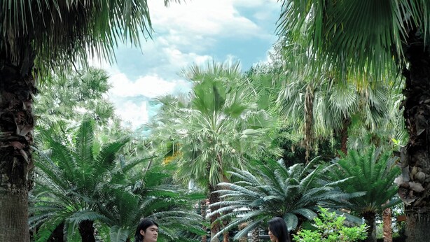 A poolside area with two people sitting on lounge chairs, a clear pool, and lush tropical foliage. - Palm Villa (Mang Yang)