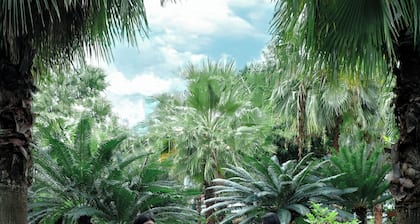 Palm Villa