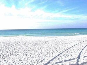 بالقرب من الشاطئ