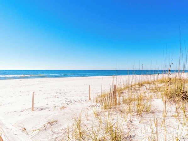 Nära stranden