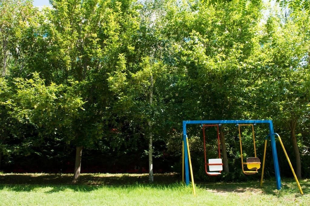 A playground with swings and a blue frame, surrounded by trees.