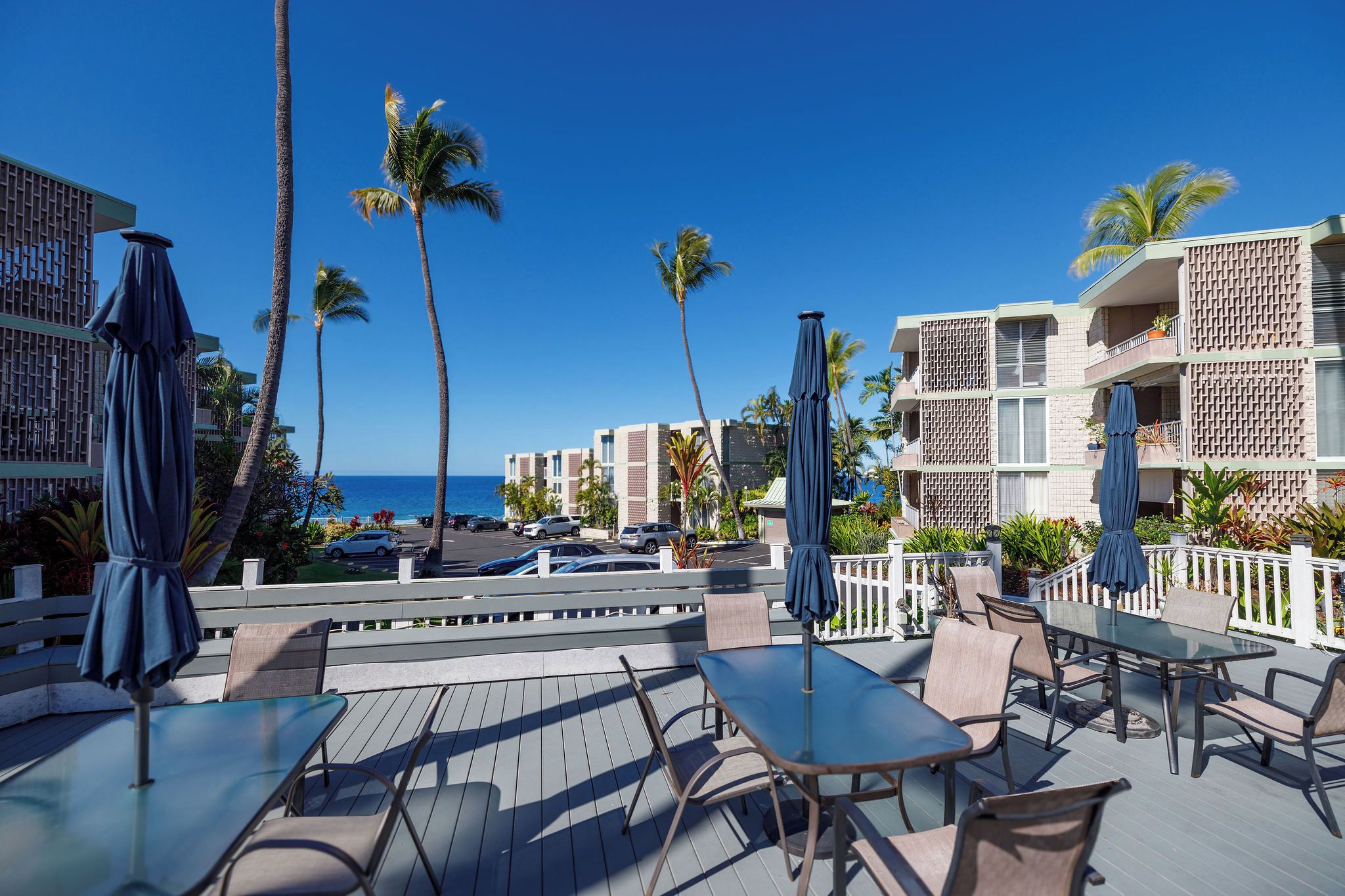 A deck with outdoor seating, palm trees, and a view of the ocean.