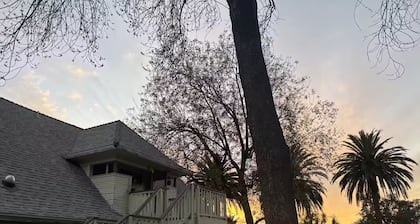 House Sober Safe Space