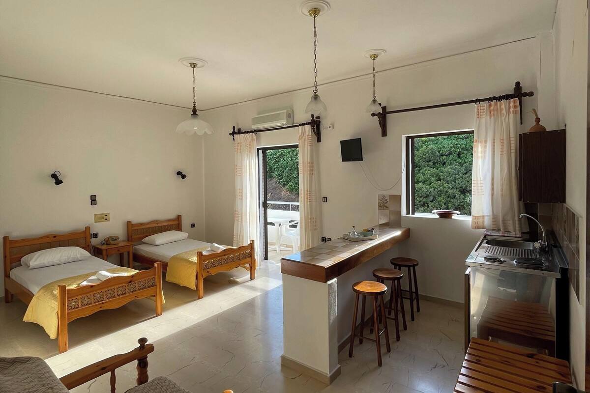 A spacious room with two wooden beds, a small kitchen area, and a view of greenery outside.