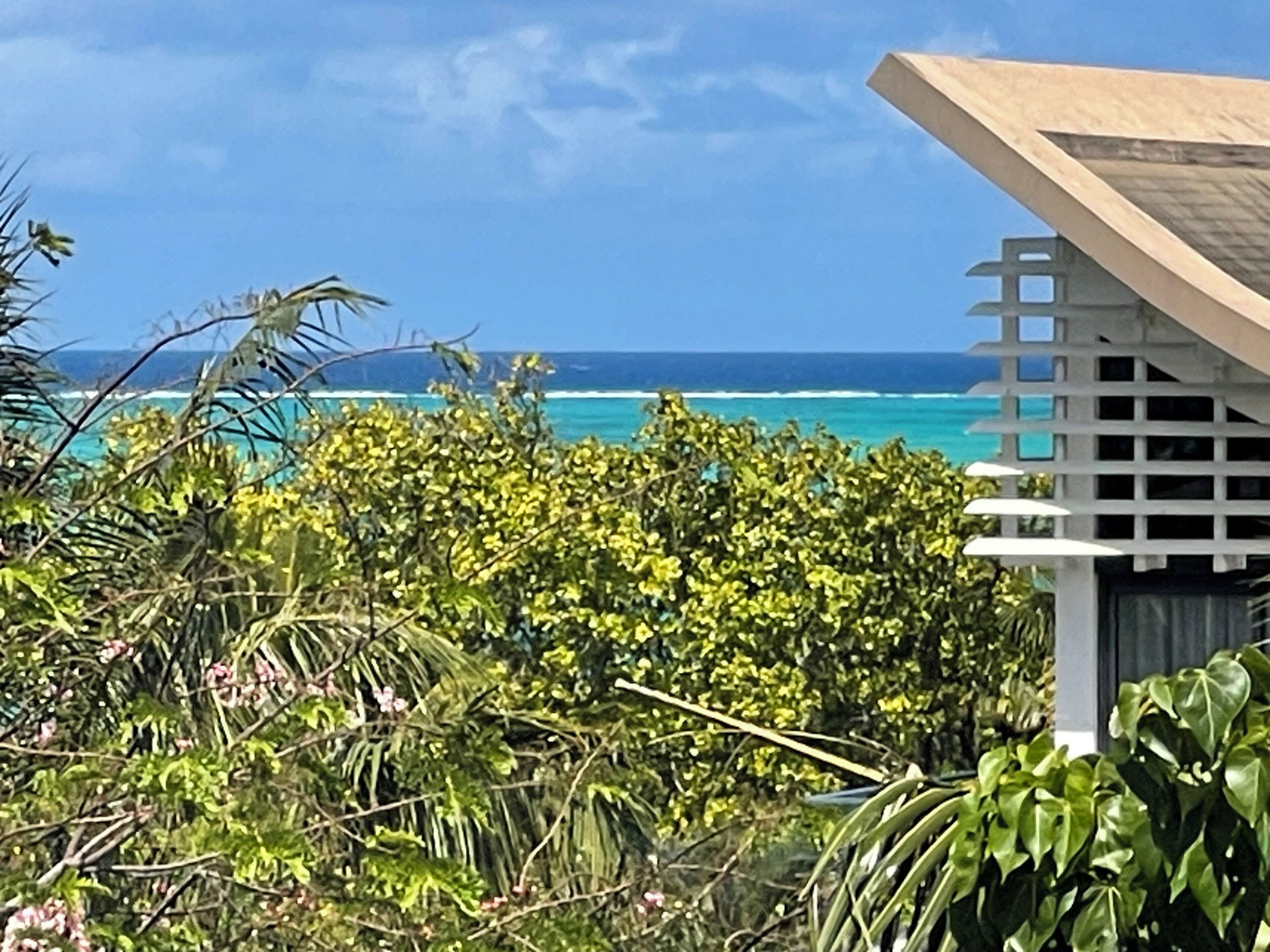 A view of a beach with a white gazebo and lush greenery in the foreground.
