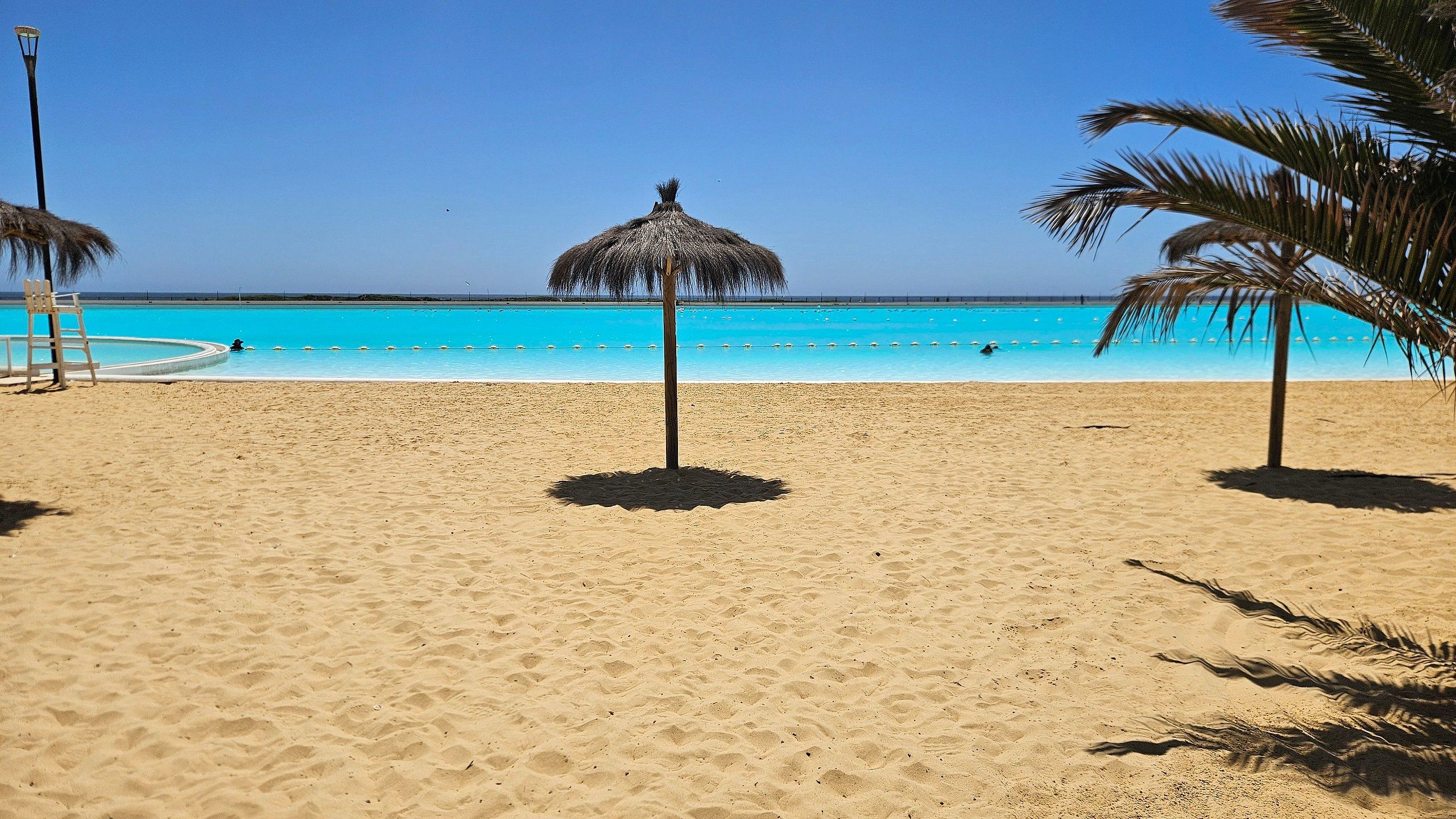 A beach with a clear blue sea, a thatched umbrella, and palm trees.