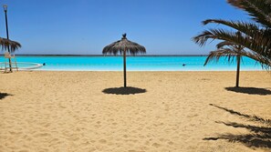 Une plage avec une mer d’un bleu limpide, un parasol en chaume et des palmiers.