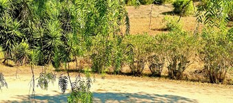 Farmhouse appartment surrounded by nature and 15 minutes walk to the beach!