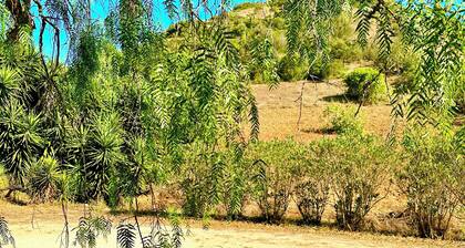 Farmhouse appartment surrounded by nature and 15 minutes walk to the beach!