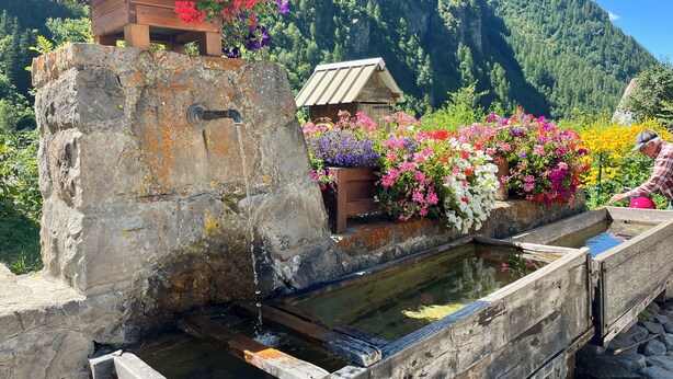 A rustic stone well with a wooden structure above it, surrounded by colorful flowers and a wooden house in a mountainous area. - LE BELLEVUE (Orcières)