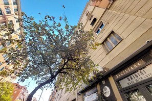 View from room - YCH Delightful flat near San Giovanni (Rome)