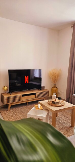 Téléviseur connecté, livres