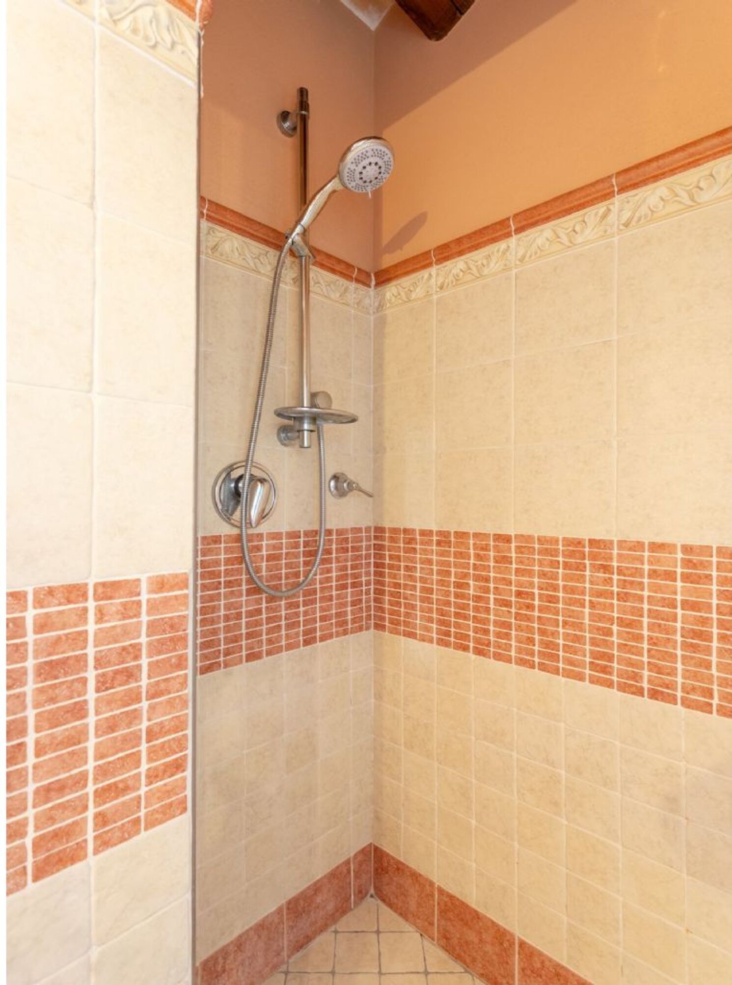 A shower with a handheld showerhead and a wall-mounted control.