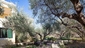 A garden pathway with olive trees, a stone wall, and a building with green shutters. - Villa Eleni in Pigianos Kampos (Rethymno)