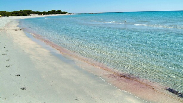 A beach with clear turquoise water, a sandy shore, and footprints leading into the water.
