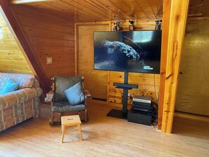 Smart TV, chimenea, reproductor de DVD y libros
